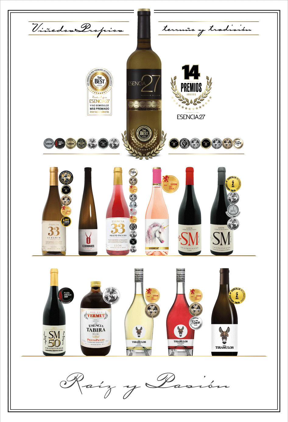 Bodegas_Meoriga_Esencia-27