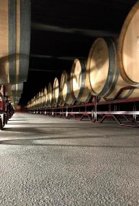 bodegas meoriga 25 2019