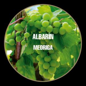 bodegas meoriga albarin