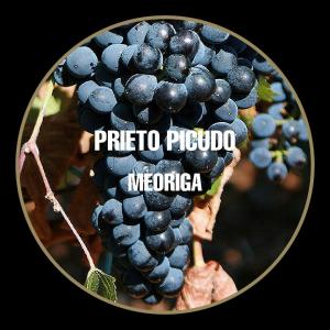 bodegas meoriga prieto picudo